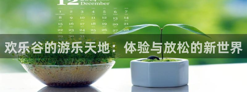 新航娱乐官网：欢乐谷的游乐天地：体验与放松的新世界
