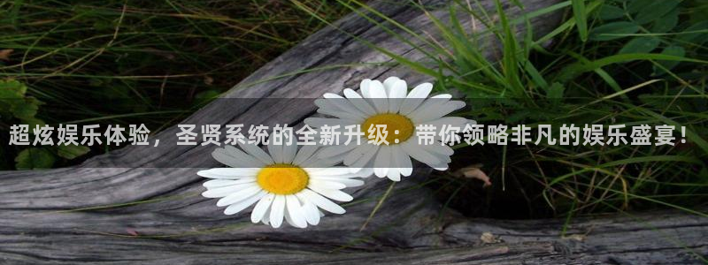 新航娱乐官网：超炫娱乐体验，圣贤系统的全新升级：带你领略非凡的娱乐盛宴！