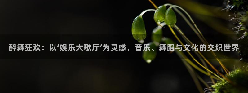 新航娱乐登录地址：醉舞狂欢：以‘娱乐大歌厅’为灵感，音乐、舞蹈与文化的交织世界