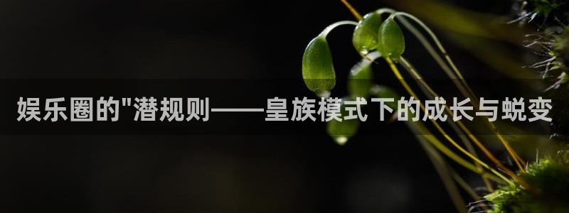 新航娱乐注册：娱乐圈的\