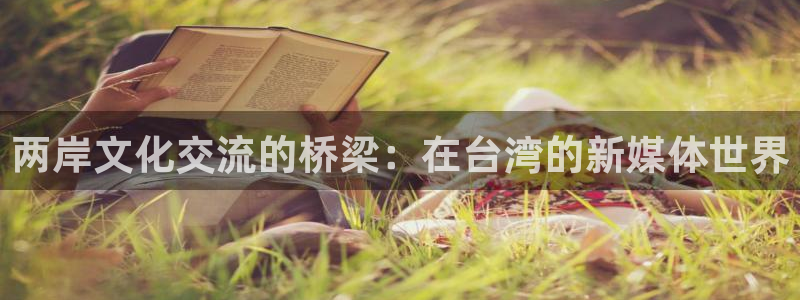 新航娱乐登录地址：两岸文化交流的桥梁：在台湾的新媒体世界