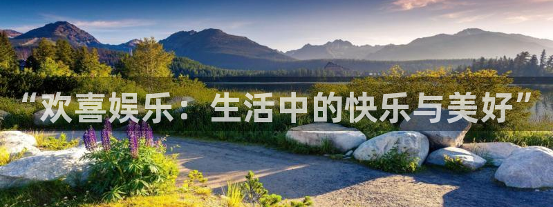 新航娱乐：“欢喜娱乐：生活中的快乐与美好”