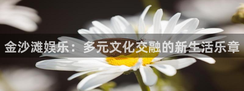 新航娱乐注册：金沙滩娱乐：多元文化交融的新生活乐章